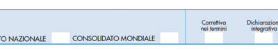 Consolidato nazionale e mondiale. Tutte le novità del modello 2021