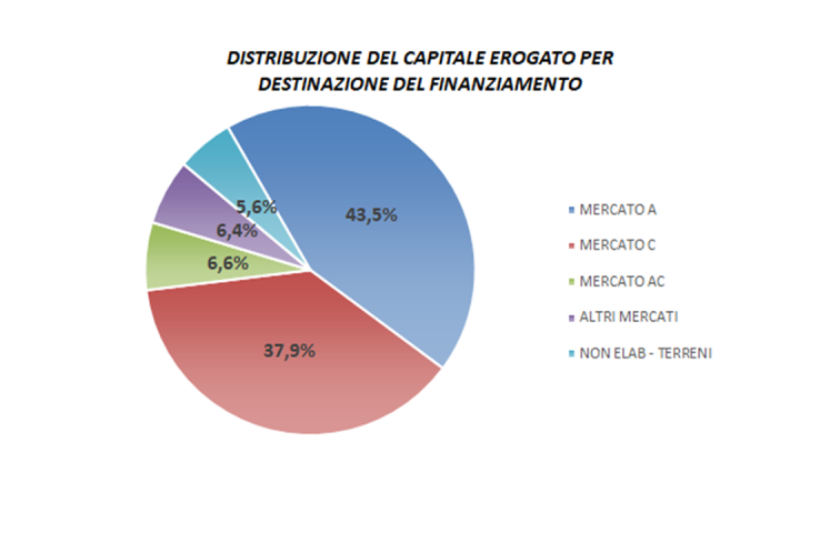 grafico con le percentuali di distribuzione del capitale erogato per destinazione del finanziamento
