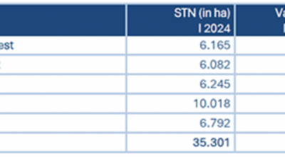 Primi tre mesi del 2024, il report sugli scambi di terreni
