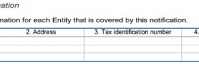 Global minimum tax: indicazioni sul modello di notifica