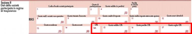 Leone_Immagine 5