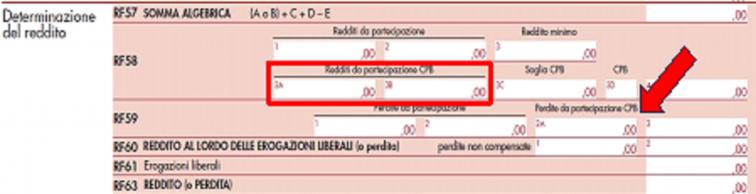 Leone_Immagine 6