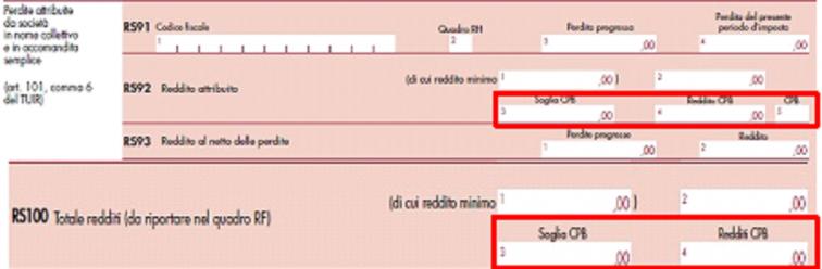 Leone_Immagine 7