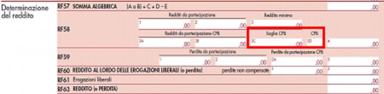 Leone_Immagine 8