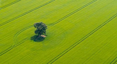 Bonus formazione giovani agricoltori, invio domande entro il 24 settembre