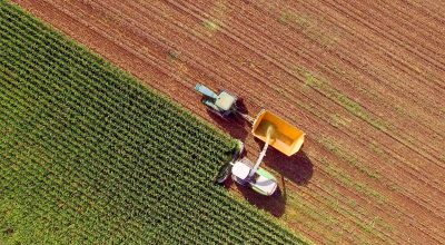 Formazione agricoltori ultimo step: pronto il codice per andare in cassa