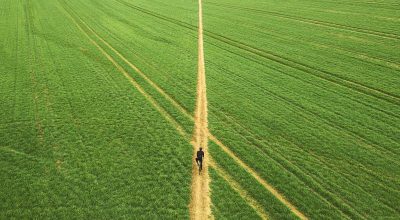 Lotto qualificato come “zona bianca”, area edificabile con Iva ordinaria