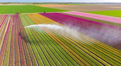 Mercato dei terreni altalenante: edificabili in crescita, agricoli giù