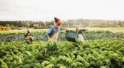 Piccola proprietà contadina, ok alle compartecipazioni “reali”