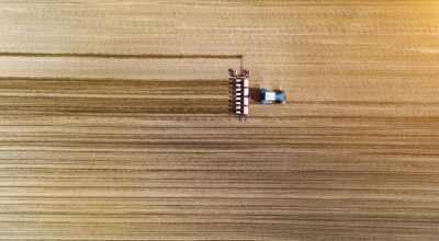 Scambi nel mercato dei terreni, ottobre-dicembre 2025 a segno più