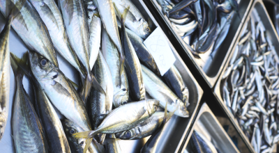 Imprese esercenti l’attività di pesca: il codice per il credito d’imposta